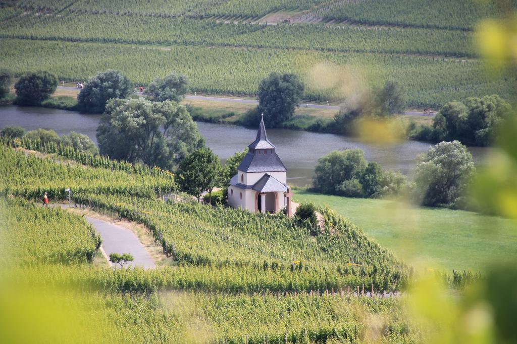 Wein & Gastehaus Hermeshof Hotel Trittenheim Buitenkant foto