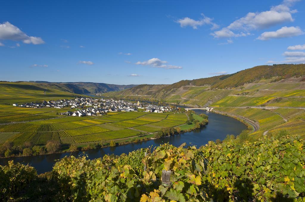 Wein & Gastehaus Hermeshof Hotel Trittenheim Buitenkant foto