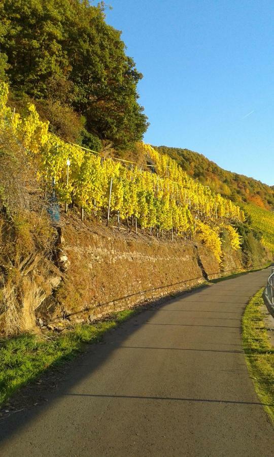 Wein & Gastehaus Hermeshof Hotel Trittenheim Buitenkant foto