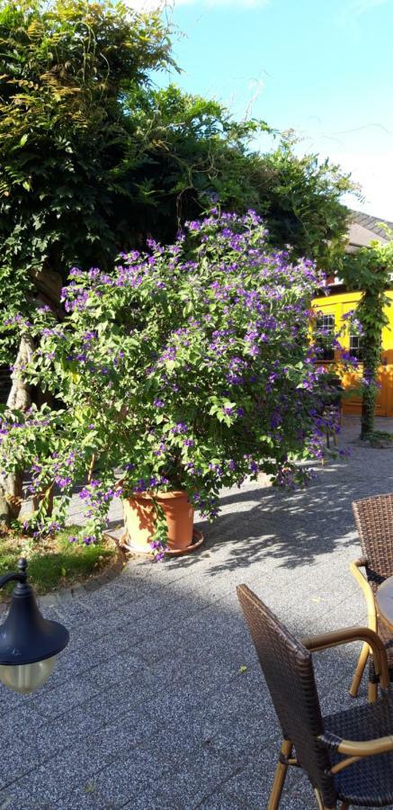 Wein & Gastehaus Hermeshof Hotel Trittenheim Buitenkant foto
